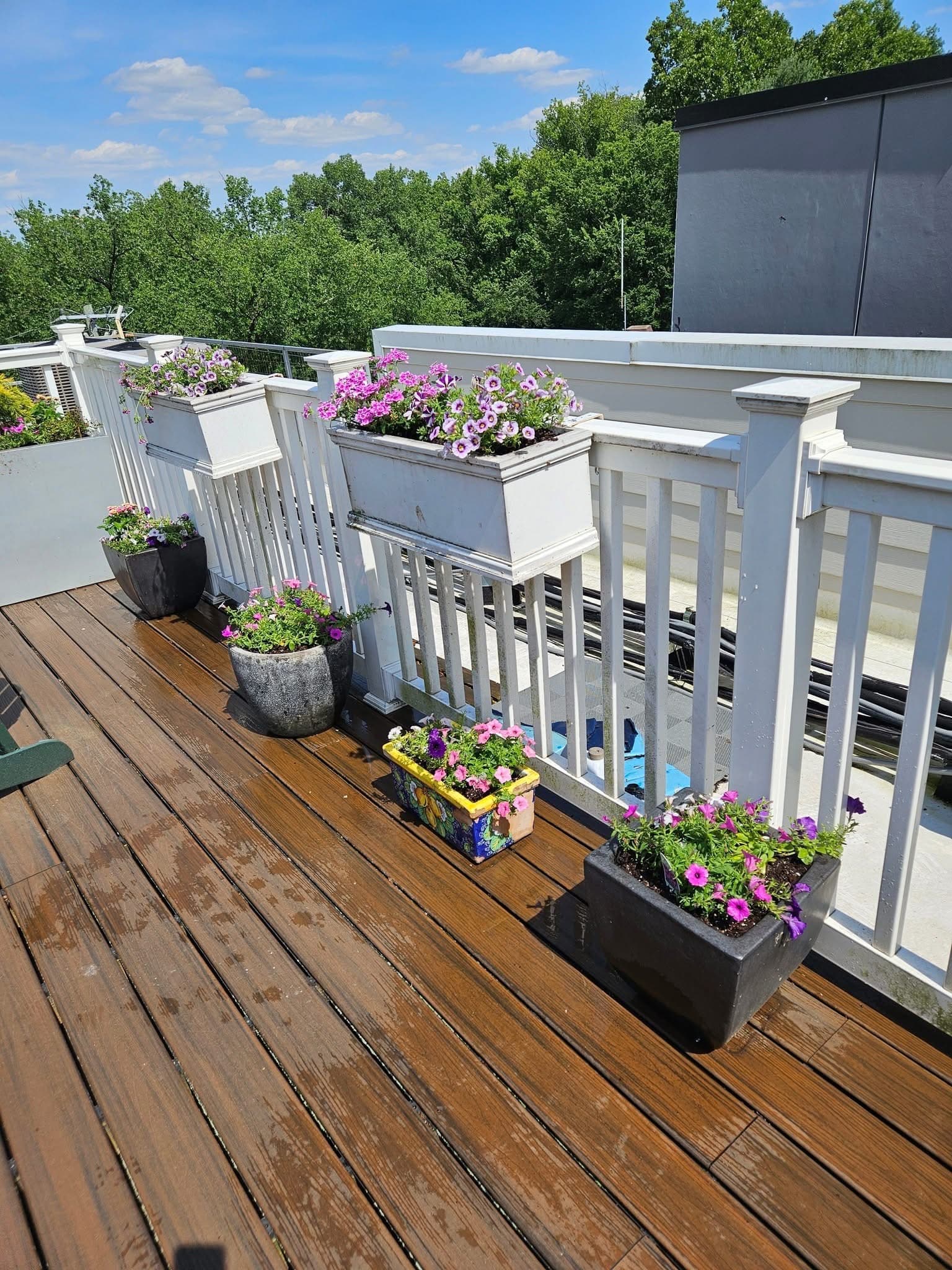 Professional Garden Maintenance service in Wichita Kansas by Prestige Lawn Care