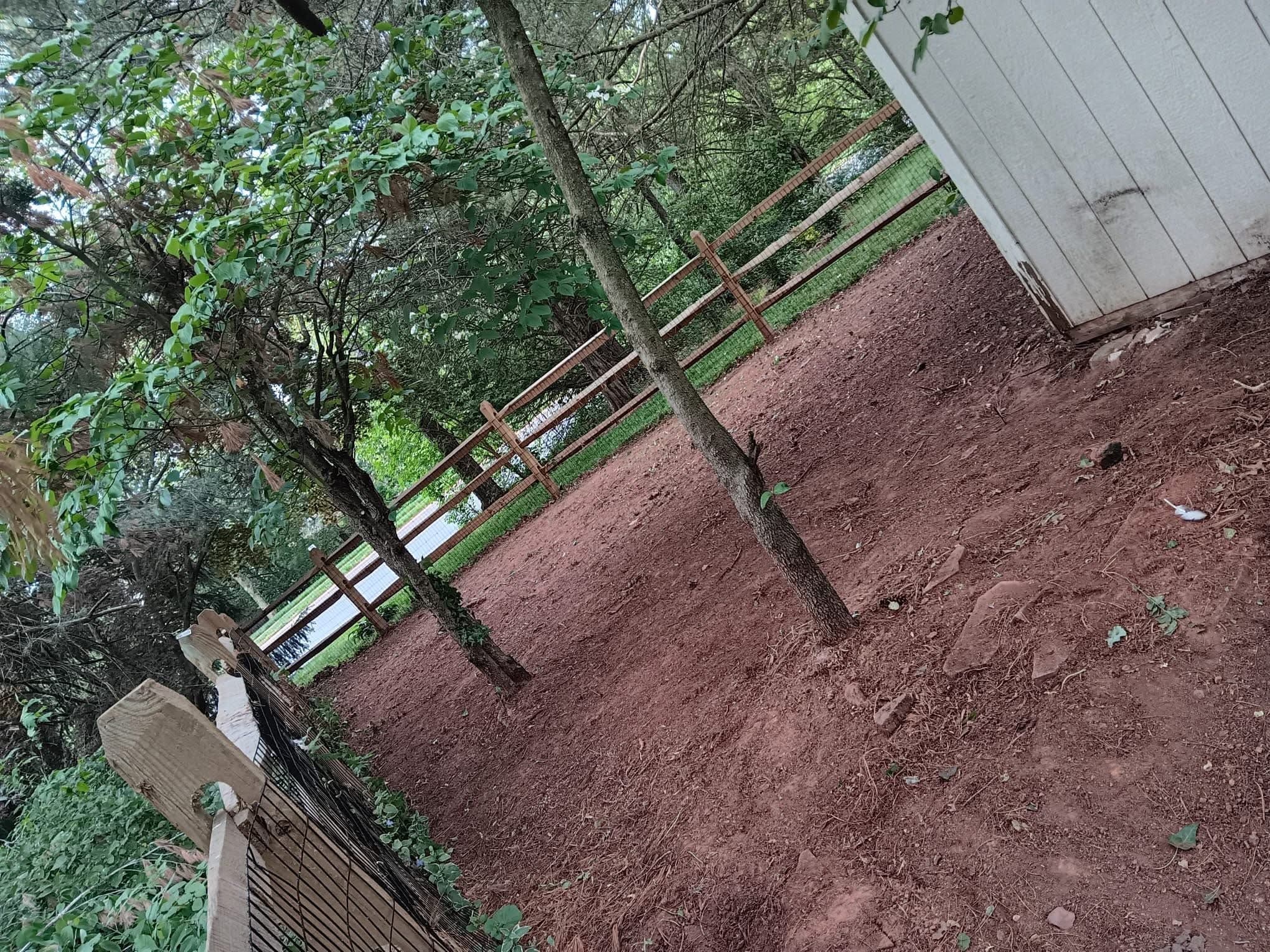 Professional Leaf Removal service in Wichita Kansas by Prestige Lawn Care