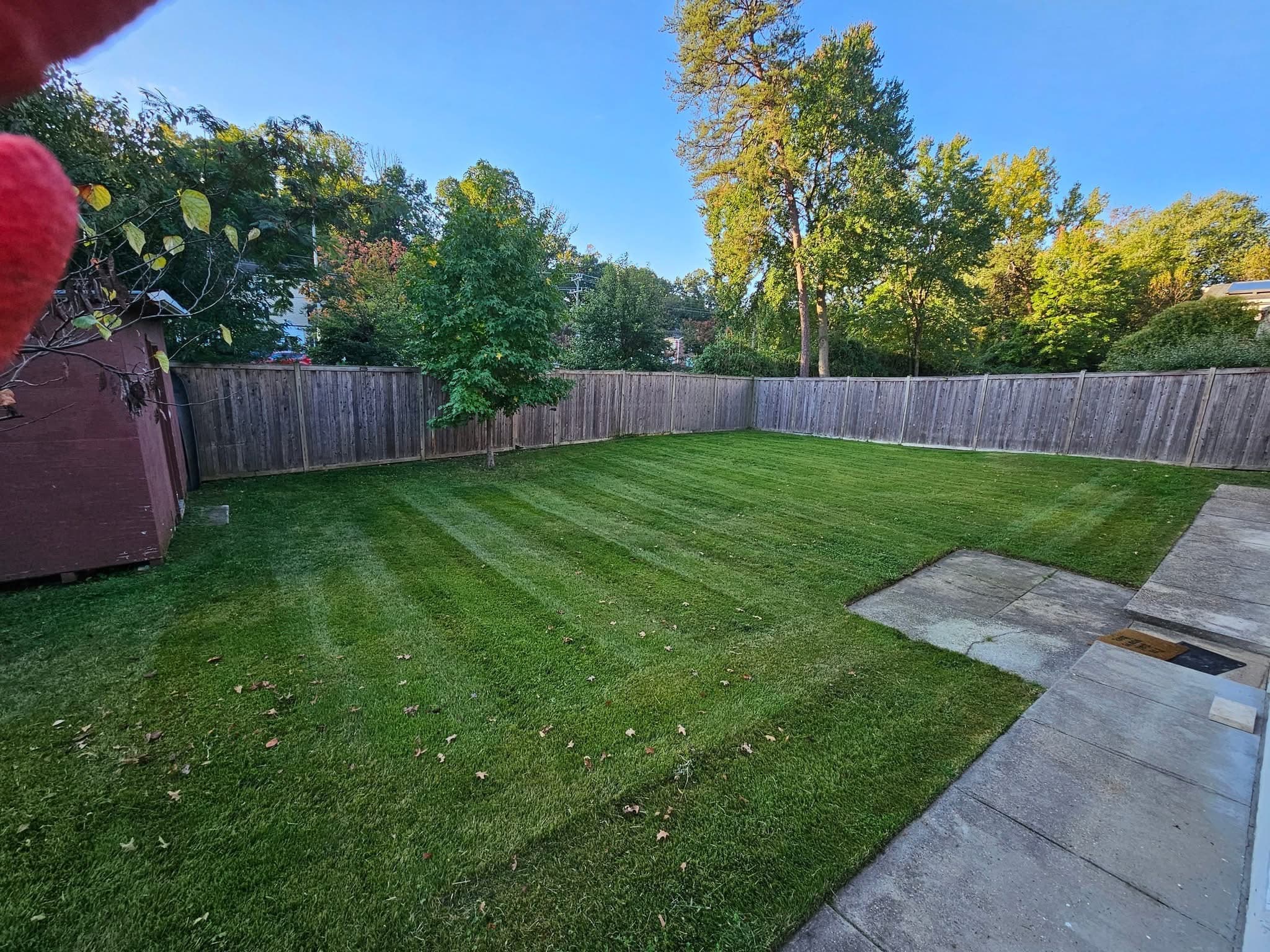 Professional Seasonal Cleanups service in Derby, Kansas by Prestige Lawn Care