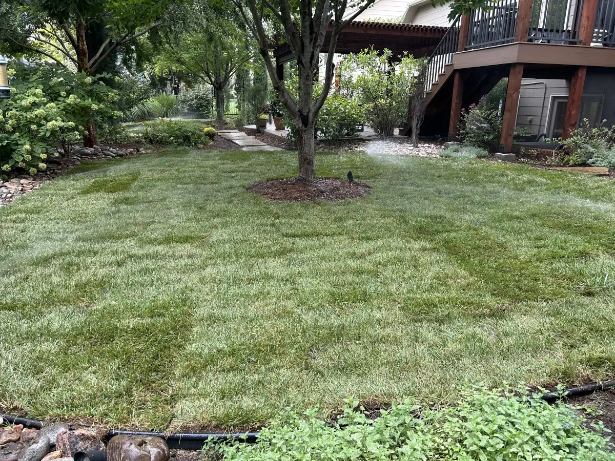 Irrigation and sprinkler service for a Wichita Kansas lawn