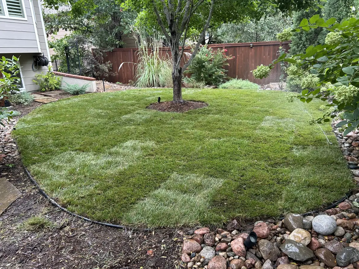 Professional landscaping project maintained by Prestige Lawn Care in the Wichita Kansas area
