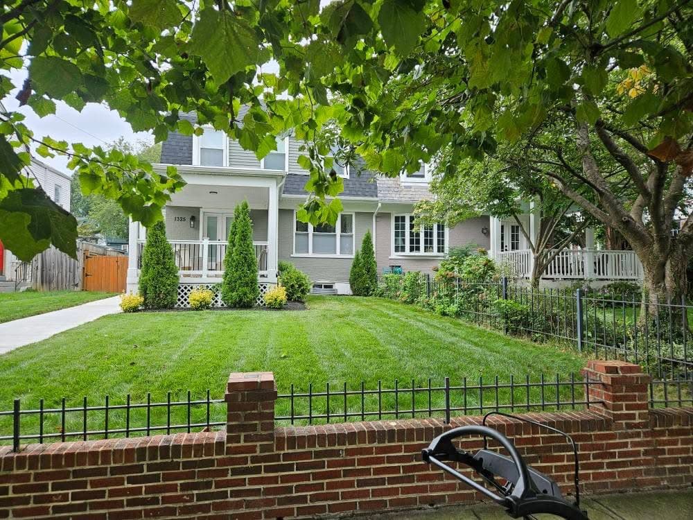 Front Yard Renovation