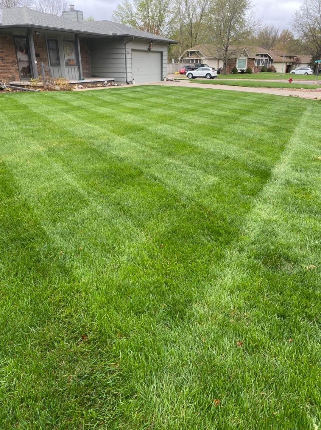 Lawn Mowing service