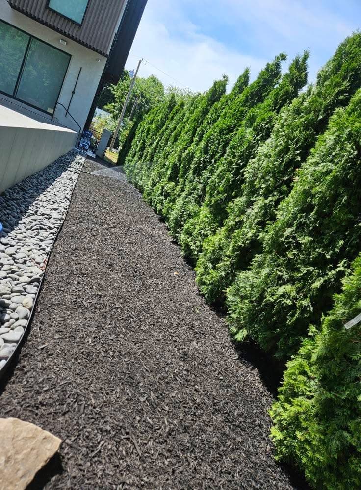 Living Privacy Wall