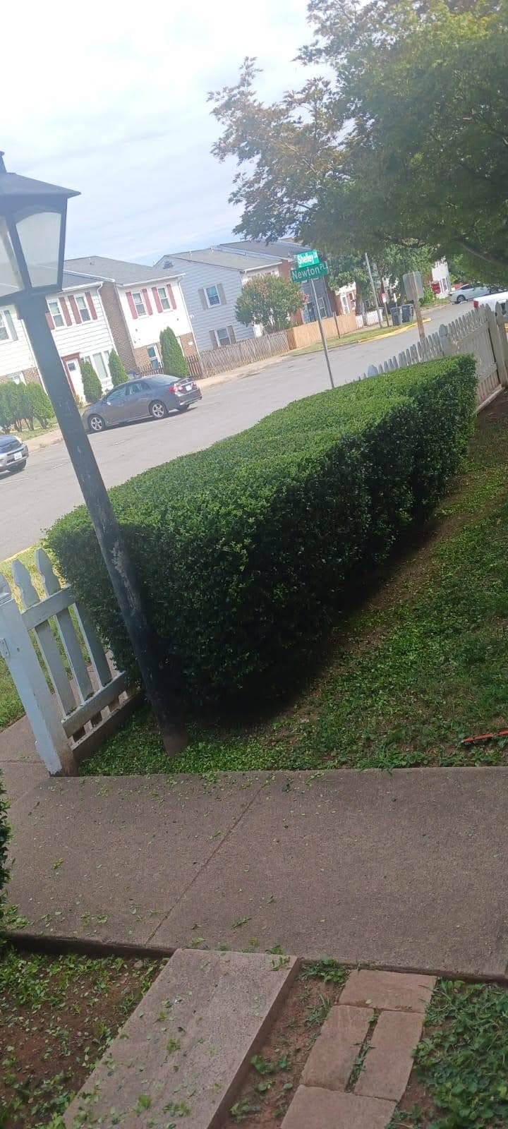 Shrub Shaping